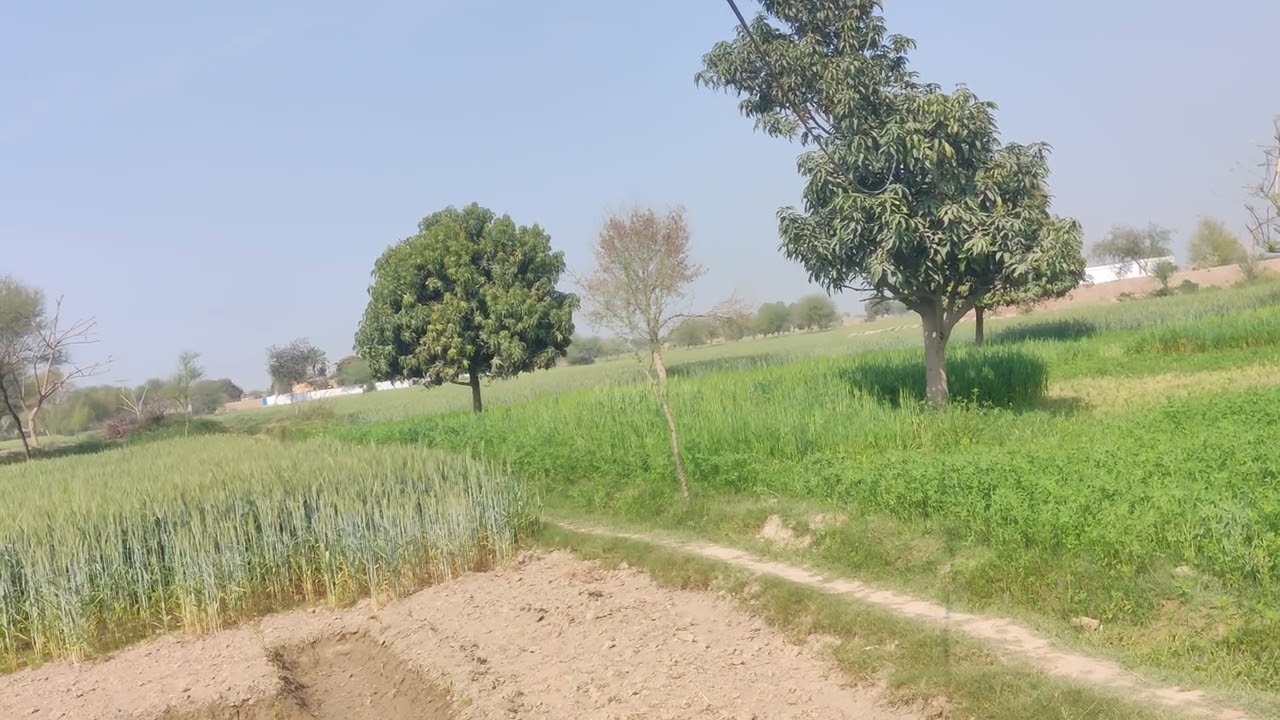 Village life