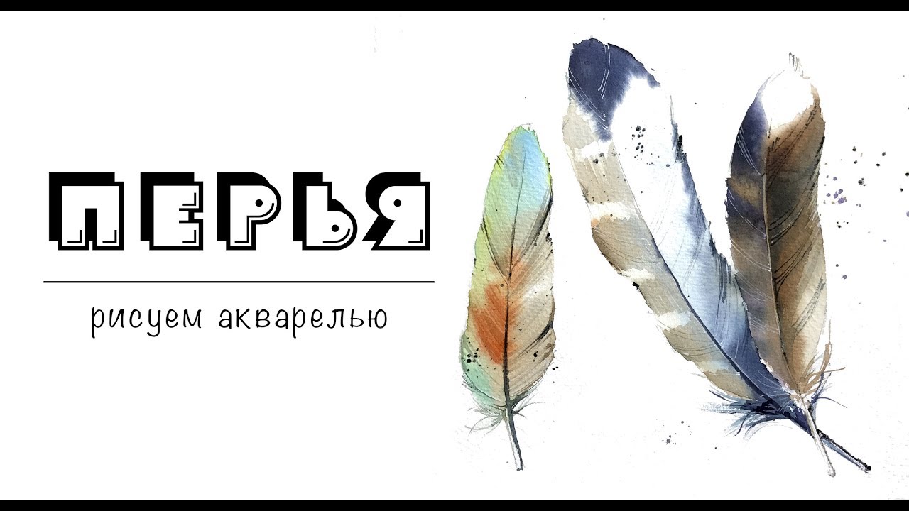 ПЕРЬЯ / рисуем акварелью