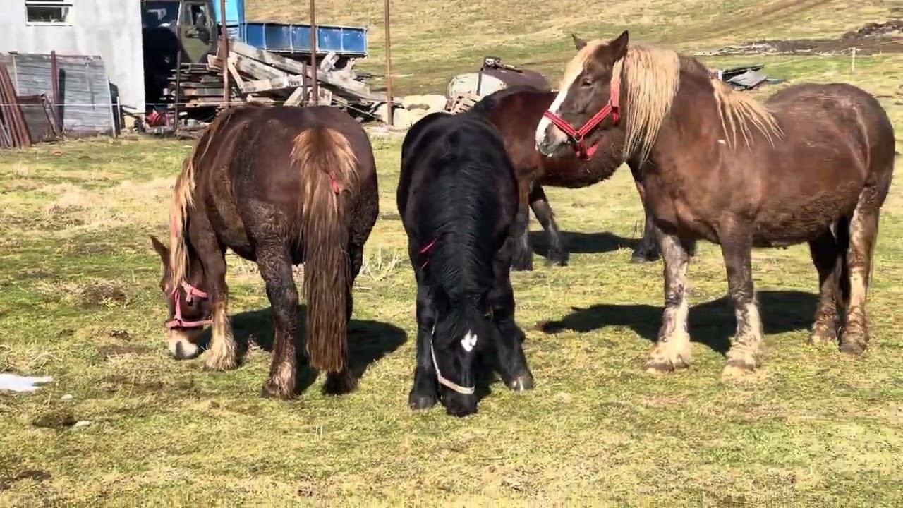 🚨дівчата радіють весні 🌪️