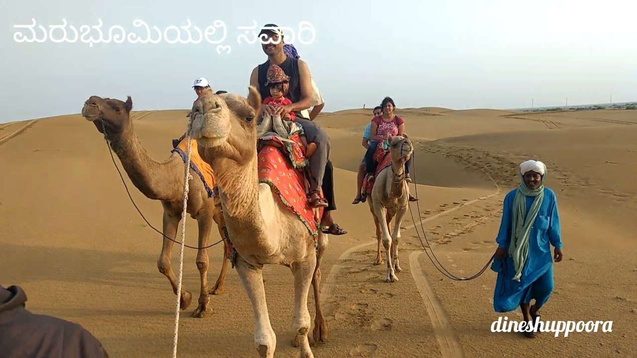 8 desart camel riding