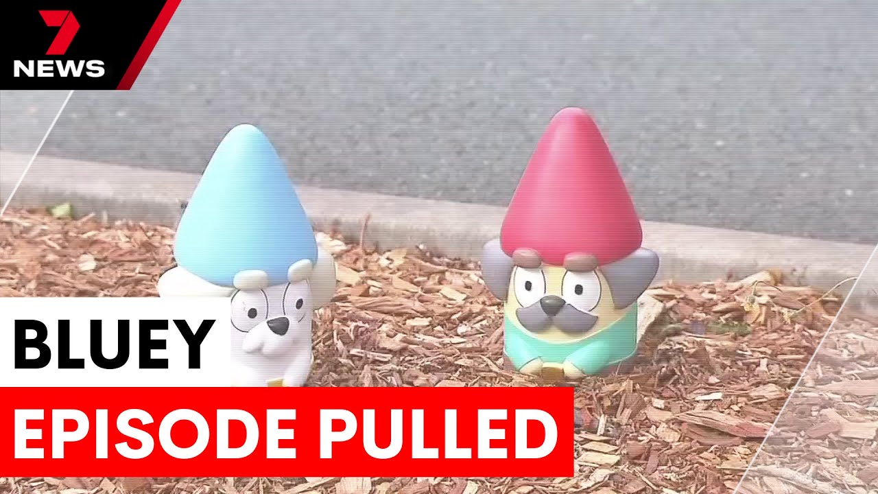 Bluey's hammer barn episode removed | 7NEWS