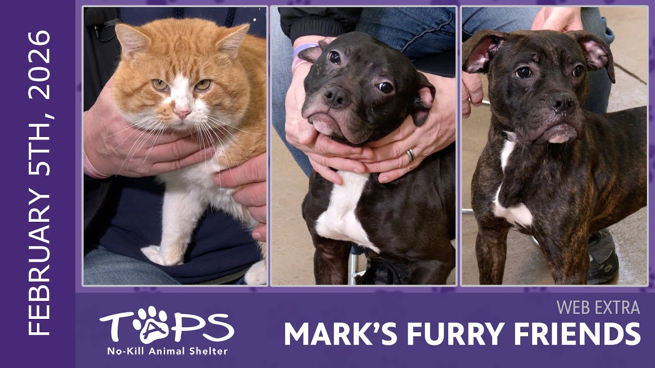 02.05.2026 | Клоу Хаузер, Рэнди и Райан | Дополнительные материалы к «Пушистым друзьям Марка»