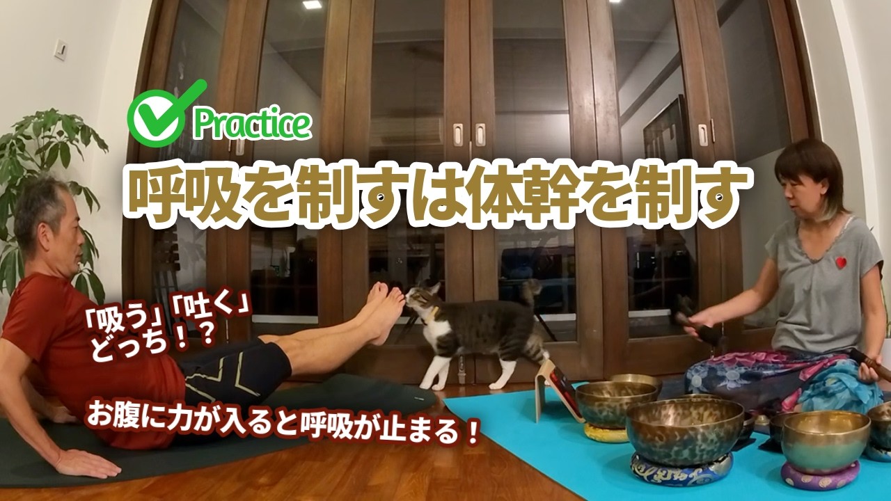 63【Day3】下腹激震！呼吸が止まる「低い船のポーズ」でインナーマッスルを目覚めさせる｜Singa Bowl Flow