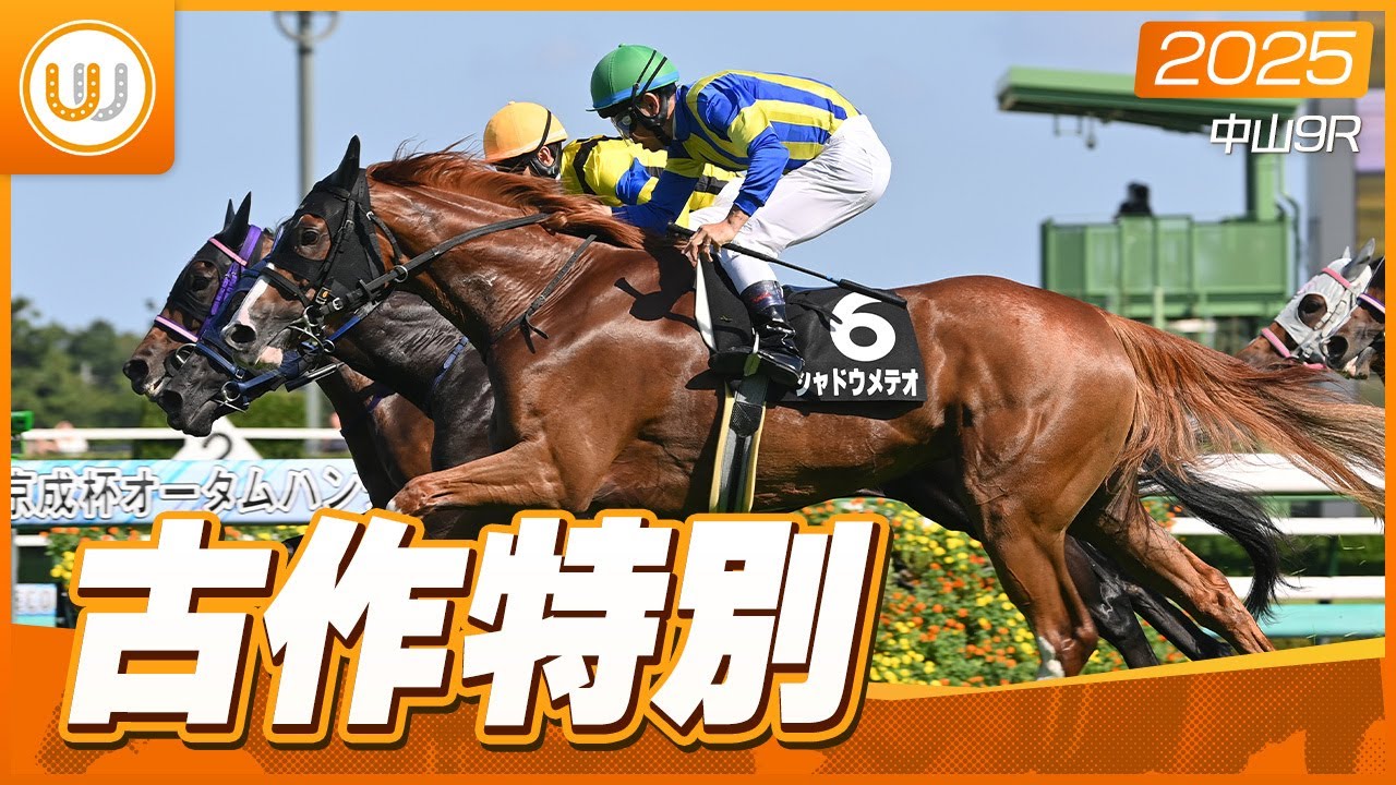 【レース映像】中山9R 古作特別｜シャドウメテオ（戸崎圭太）｜ウイニング競馬