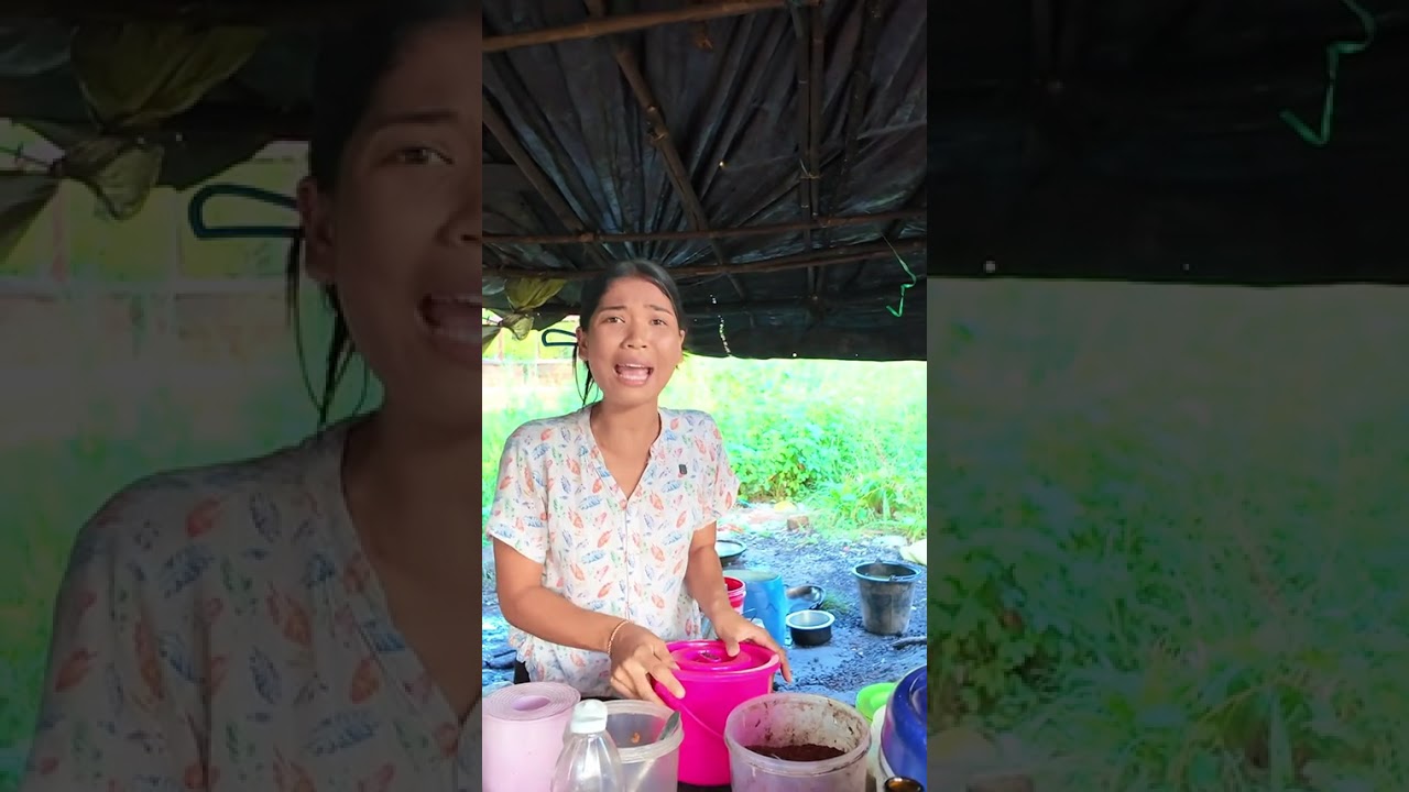 သားမိုက်