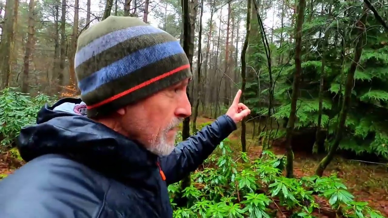 First real signs in the forest that Spring is coming. Wow just listen to that