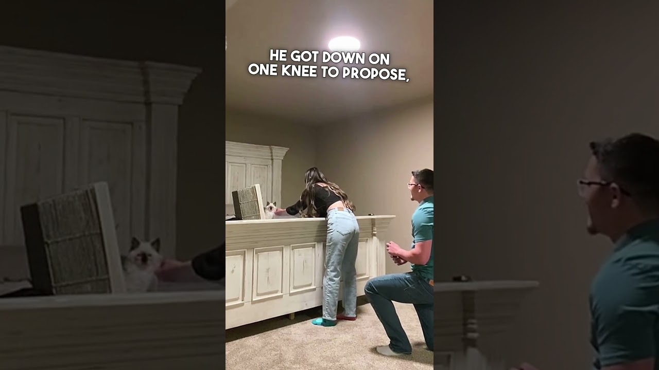 Boyfriend Proposes During Cat Surprise ❤️