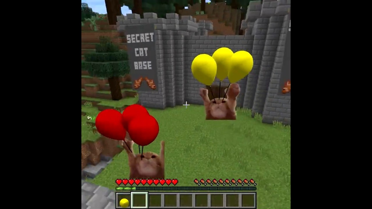Мемы про животных: кошек и собак, часть 31 в Minecraft (короткая версия)