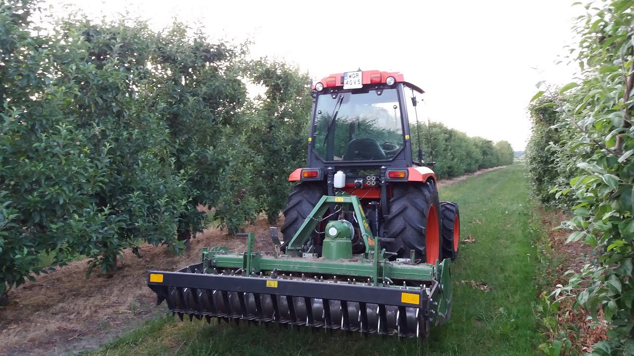 Równanie międzyrzędzie w sadzie.  Kubota L 5040 + brona aktywna. (power harrow orchard)