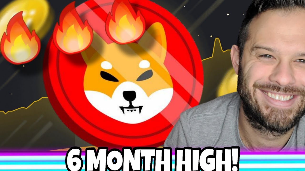 Монета Shiba Inu | Скорость сжигания SHIB достигла 6-месячного максимума! Что происходит?