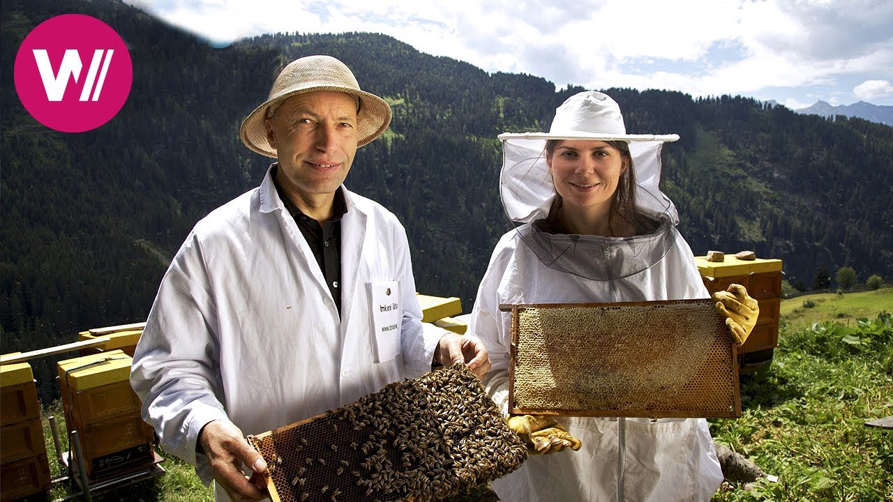 Mountain blossom honey | The Alps from above (6/10)
