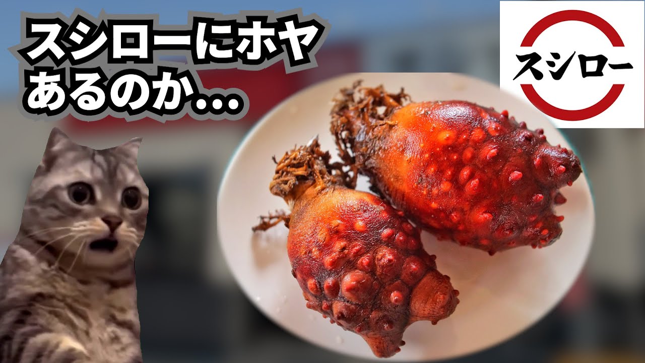 スシローでホヤを食べた何気ない話【猫ミーム】