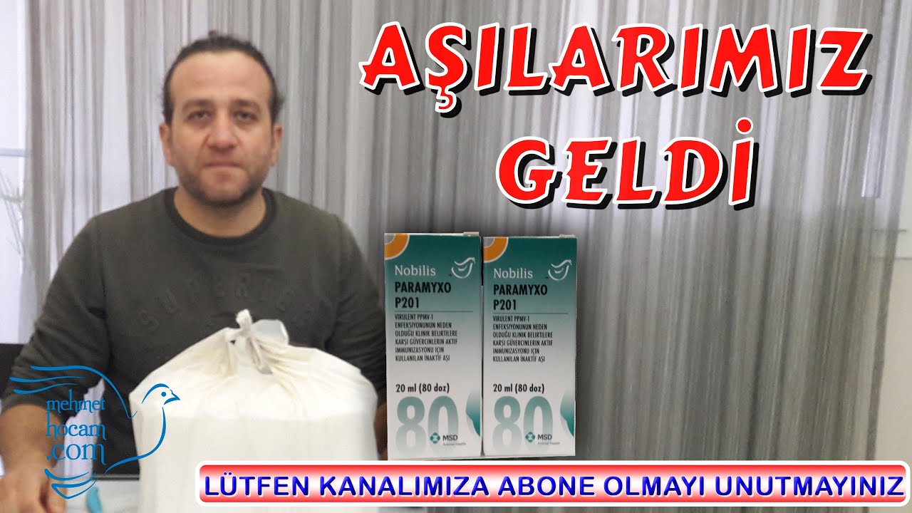 Güvercin Aşılarında Soğuk Zincir