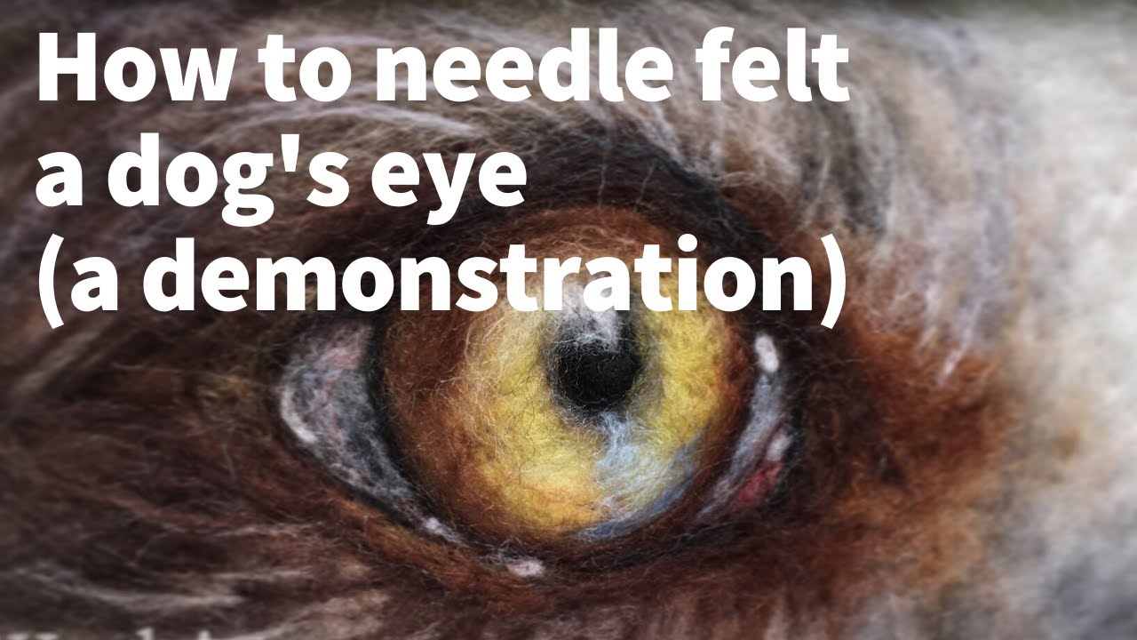 How to needle-felt a dog's eye (demonstration from LIVE facebook video)