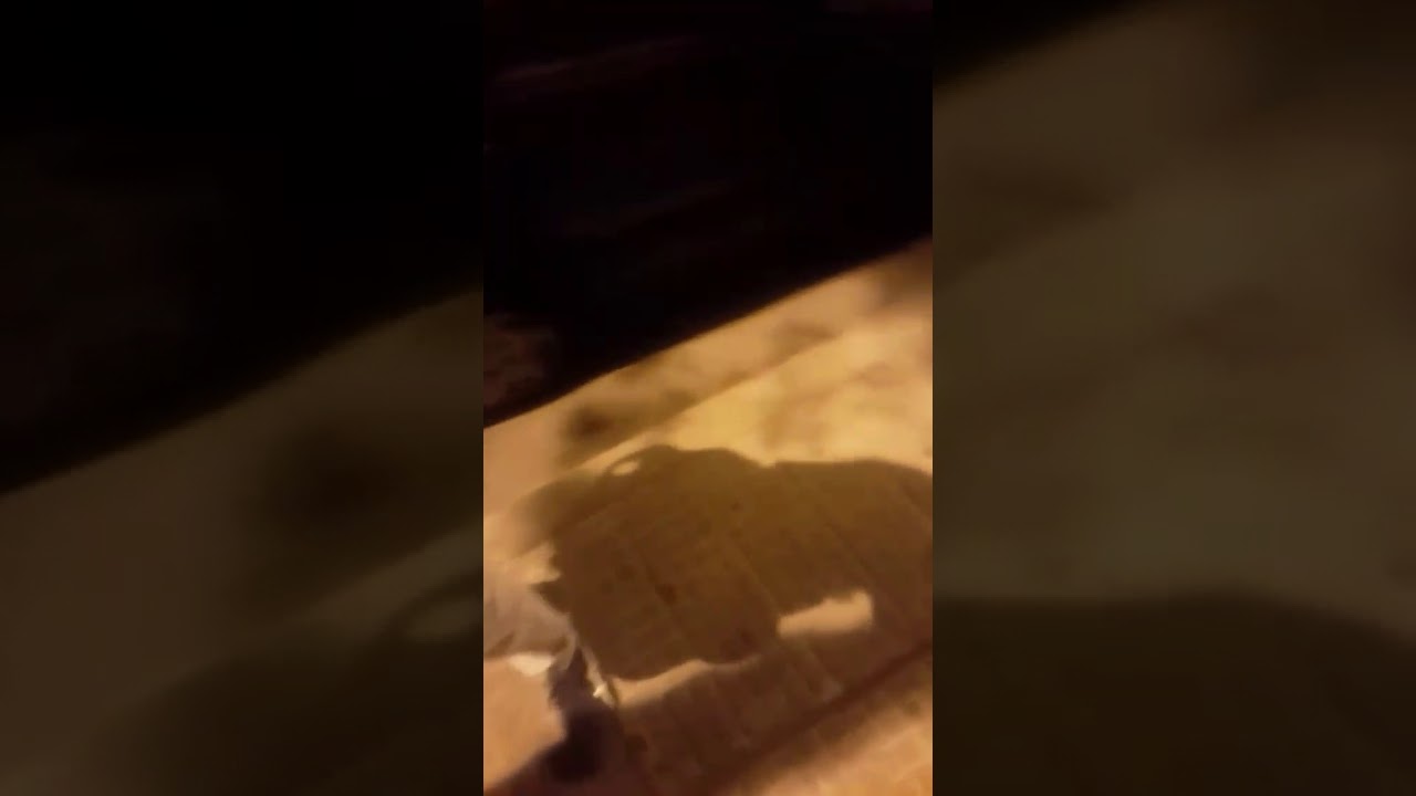 Lferda كيرد على Adil Taouil انا راب دايرو باش نجيب بيه موكة