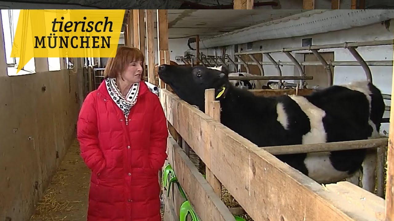Tierisch München – Der Winter steht vor der Tür des Lebenshofs Hohenwart