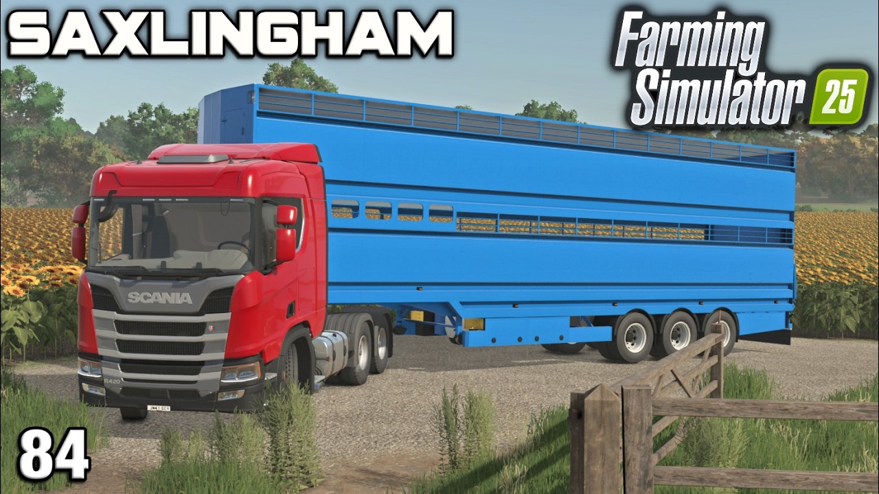 HOW MUCH MONEY WILL MY FIRST LOAD OF PIGS BRING IN? Saxlingham FS25 Ep 84