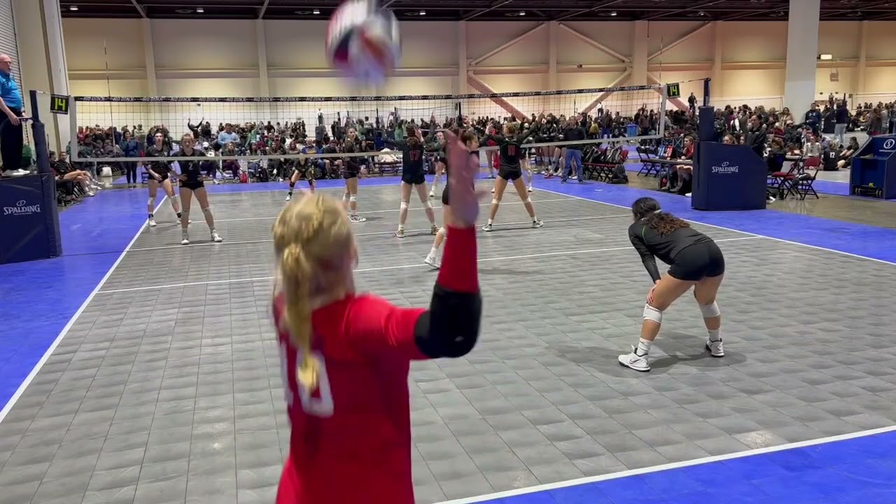 Reese Ampi, Libero 2023