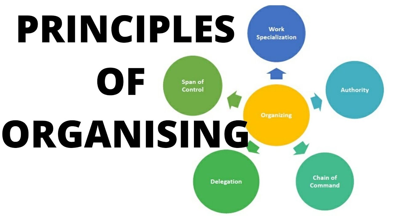 Principles Of Organising