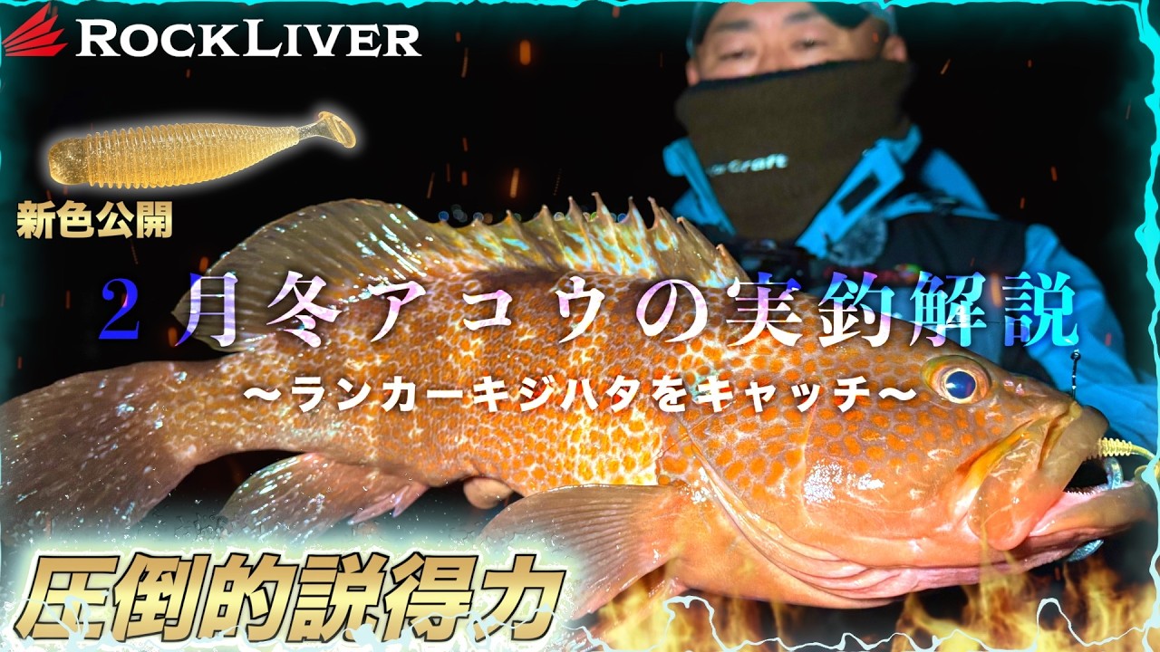 【神回】2月に出た50up!マジックシャッドの新色とロックライバー７Gで極寒の中攻略！