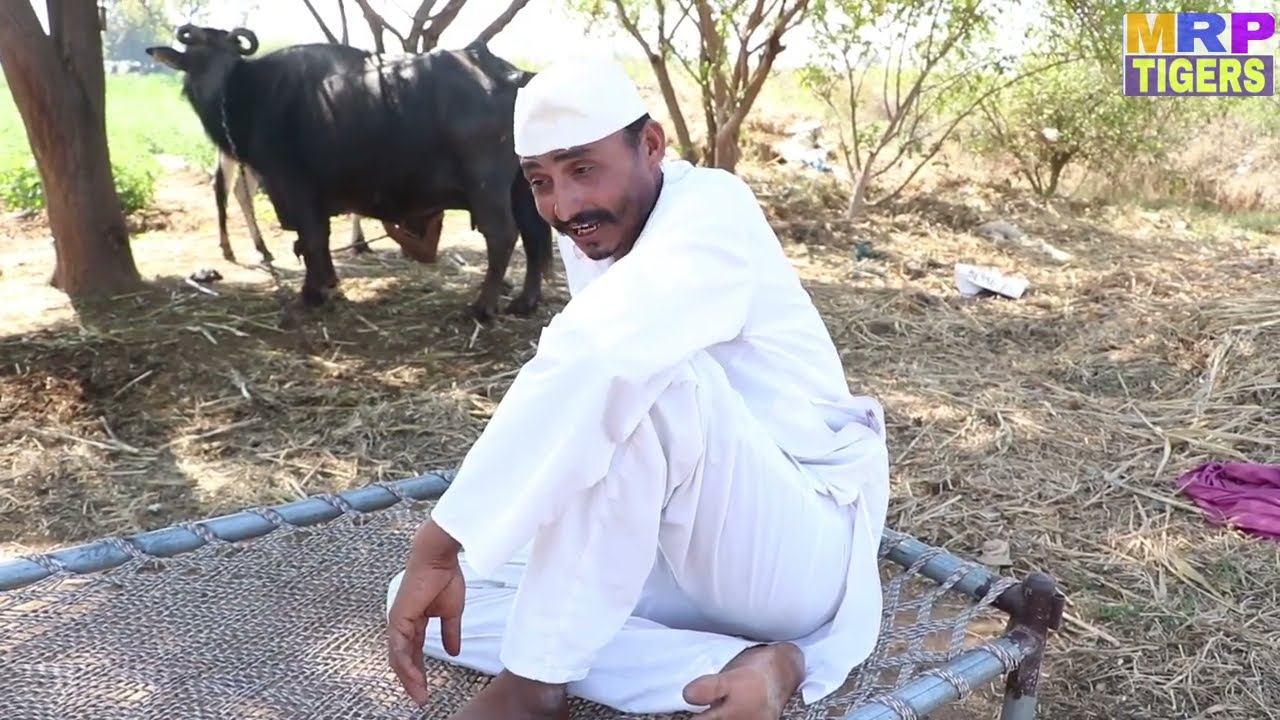 ભેશની આડમા વખોડ્યા પૈસા//BHESHNI ADMA VAKHODY PAESSA  COMEDY AND SAMAJIK VIDEO