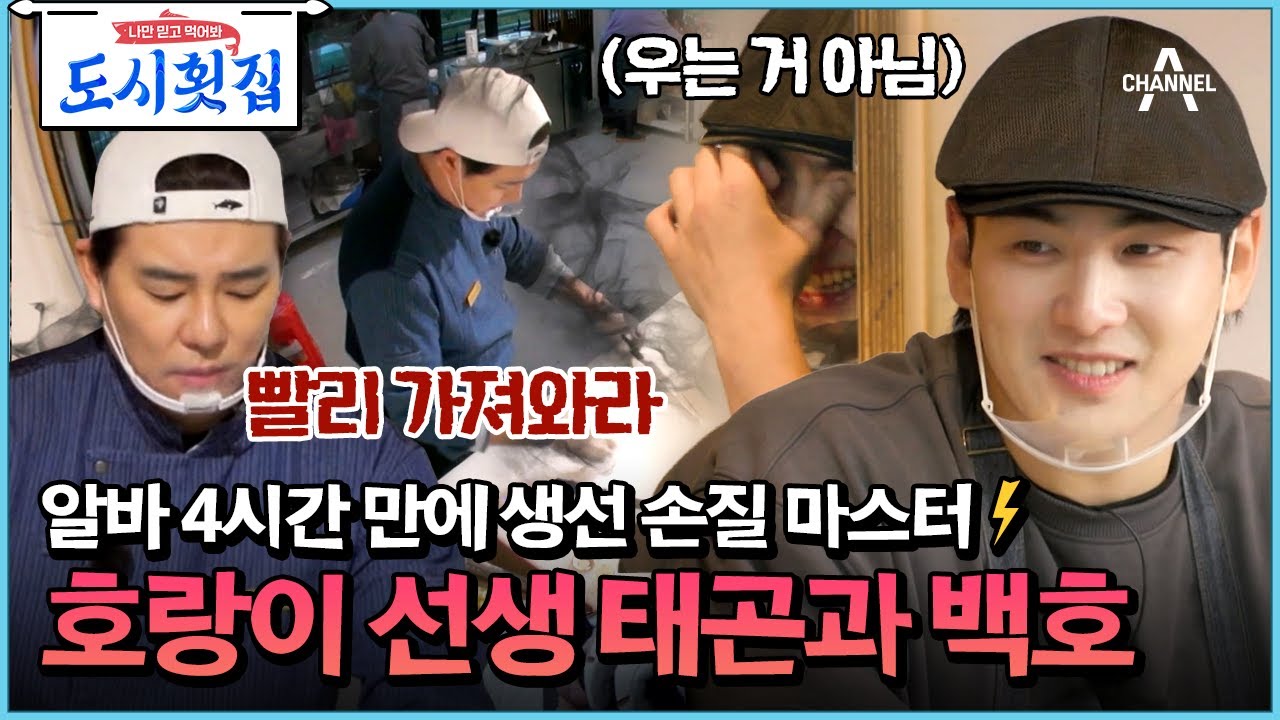[#도시횟집] 물고기 무섭지만 이겨냄! 알바 4시간 만에 장인 다 된 성장캐 백호 #이태곤 #백호 | 도시횟집 5 회