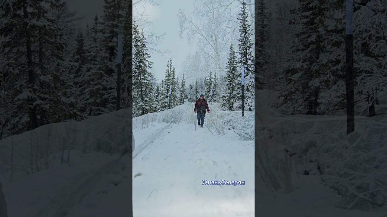 Мнение о сплетнях #ЖизньСеверян #янао #цитаты #высказывания #youtubeshorts #reels