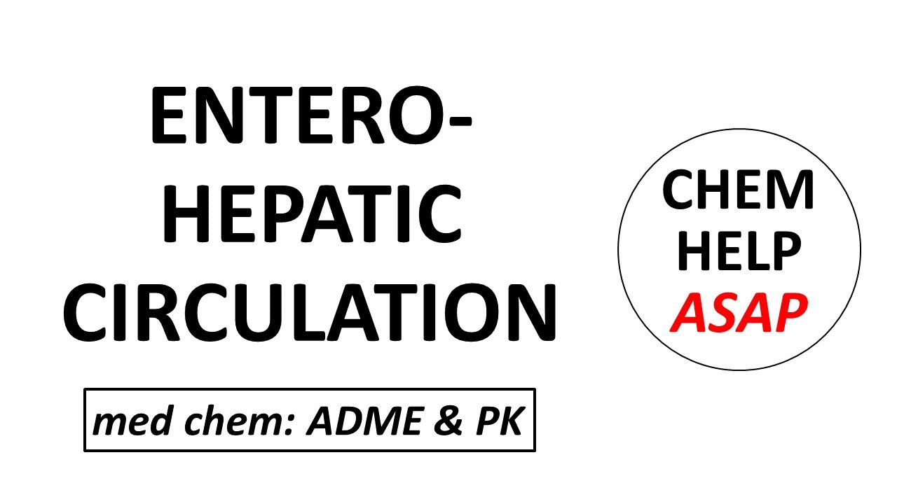 effect of enterohepatic circulation on drug half-life
