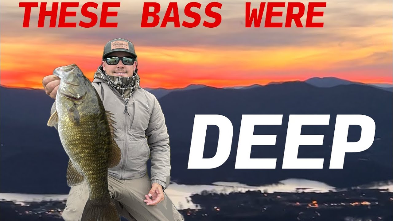 Эти глубоководные окуни не смогли спрятаться от активной цели! (Запись экрана активной цели)