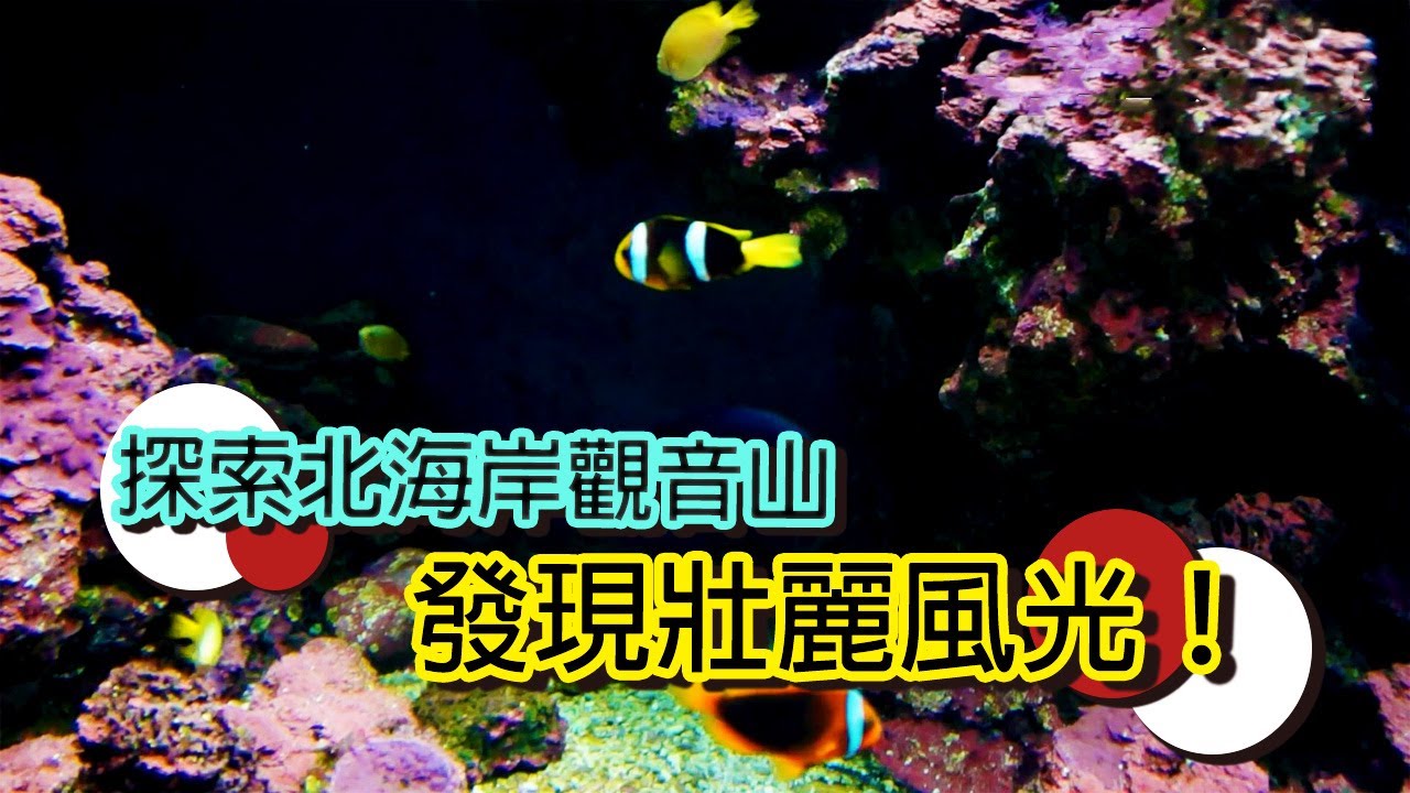 從金色沙灘到海蝕崖，東北角的風光故事│【台灣國家風景區】