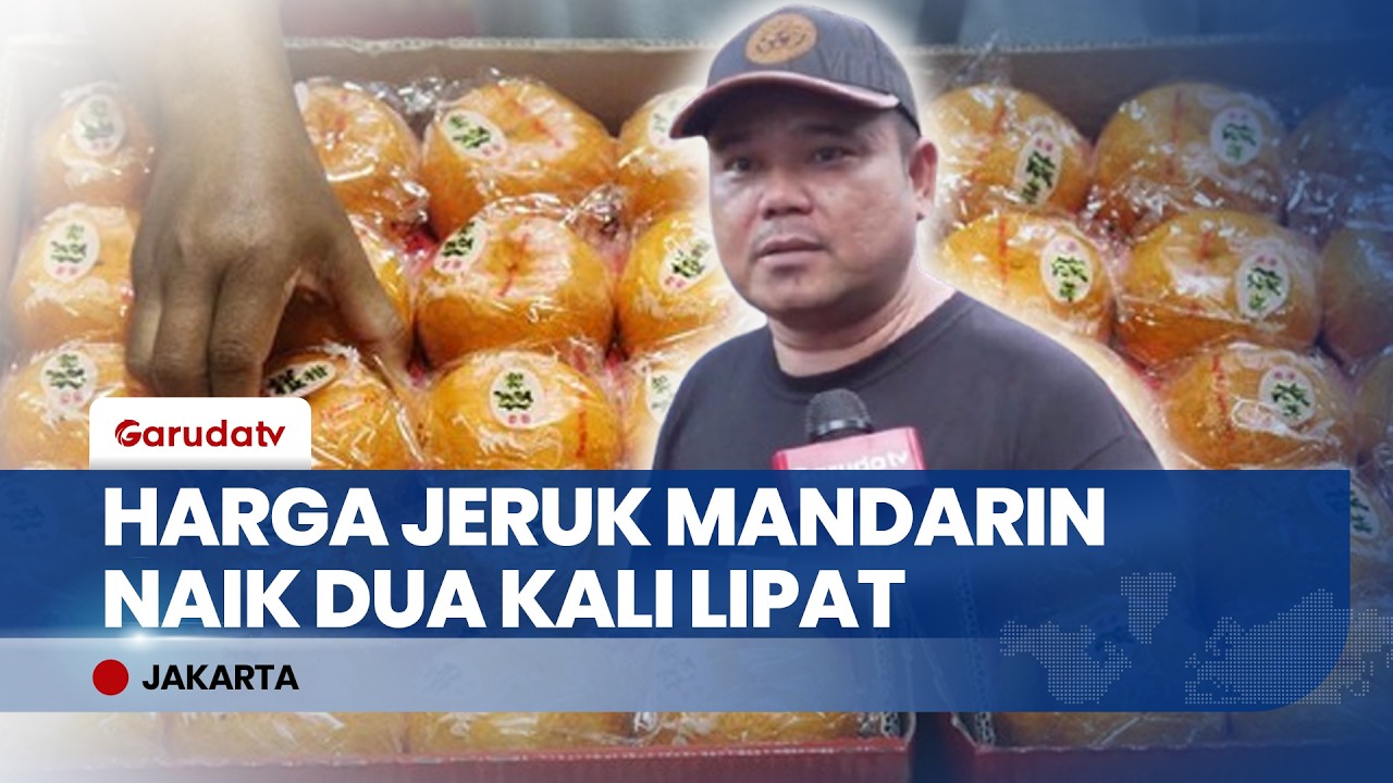 Jeruk Mandarin Langka & Harga Melejit Jelang Imlek, Pedagang Mengeluh