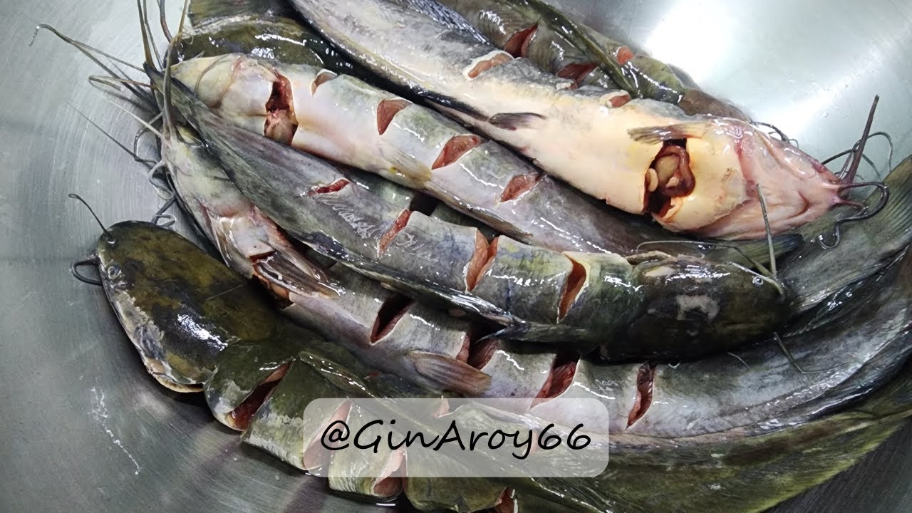 Pla Duk Yang (Thai Grilled Catfish) | ปลาดุกย่าง – Crispy, Juicy & Full of Flavor