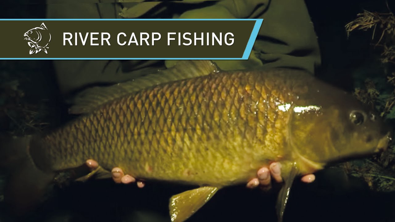 Carp Fishing on the River with Oli Davies - Nash Tackle