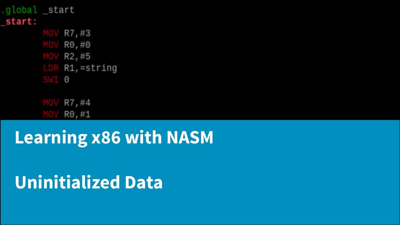 Изучение x86 с помощью NASM — объявление неинициализированных данных