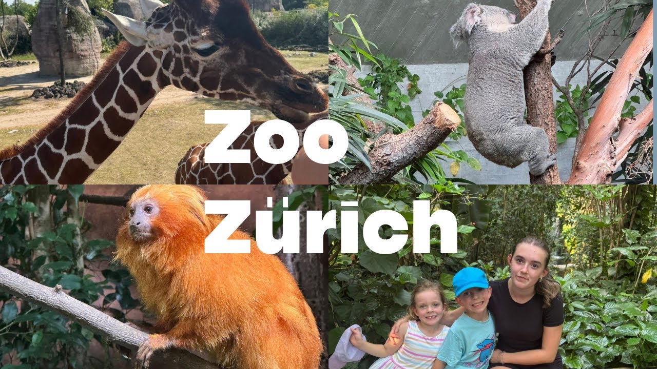 Zoo Zürich -Switzerland 