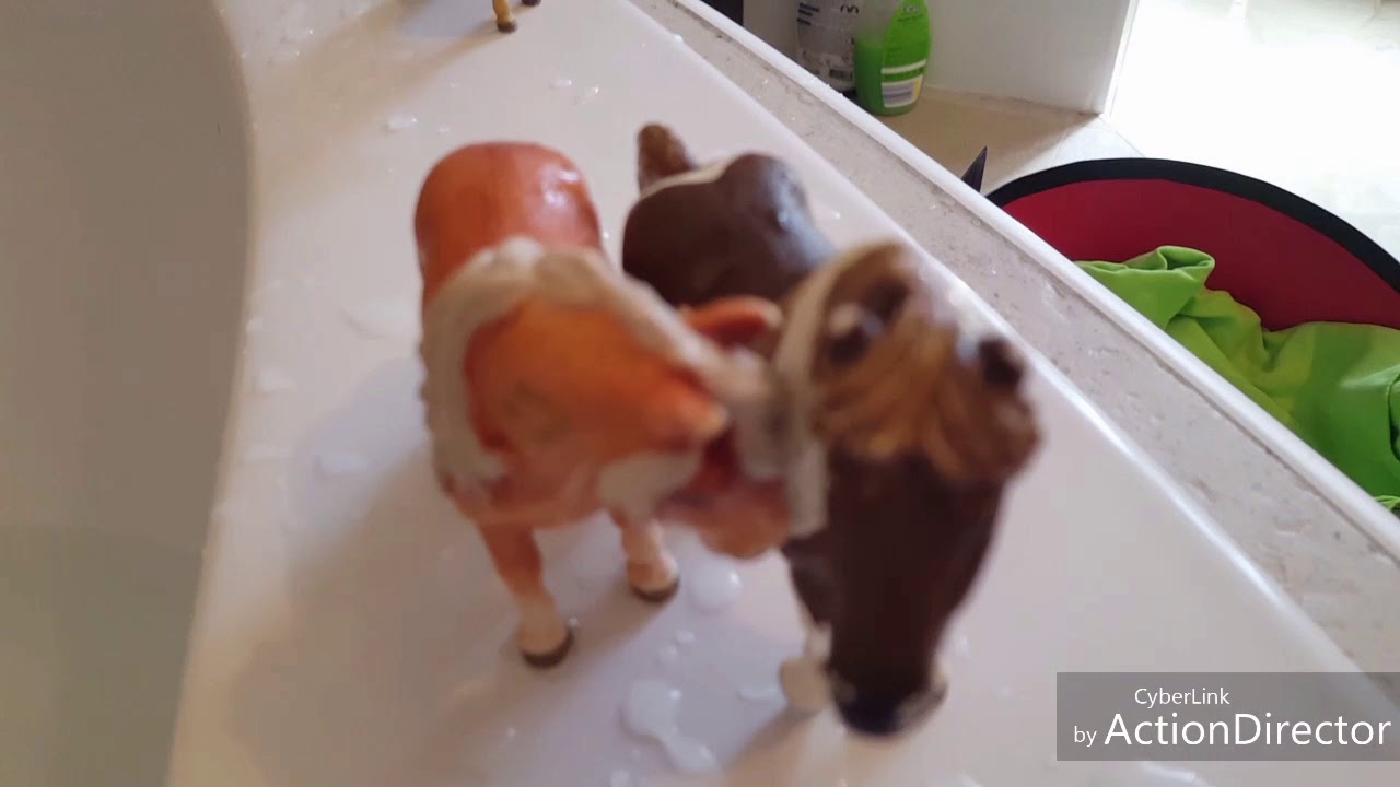 Histoire schleich :partie 2 sur 2 : la rivière sauvage