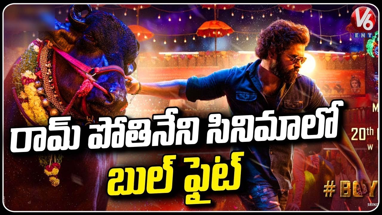 Hero Ram Pothineni And Director Boyapati Next Movie Updates | V6 Entertainment