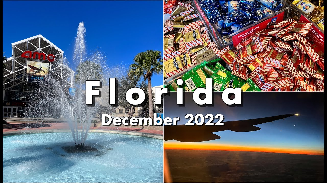 Disney Springs | Flying home from Tampa | How much did this all cost? | Part Eight | Florida Dec 22