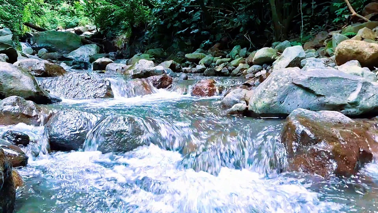 Calm River Flow for Mental Peace
