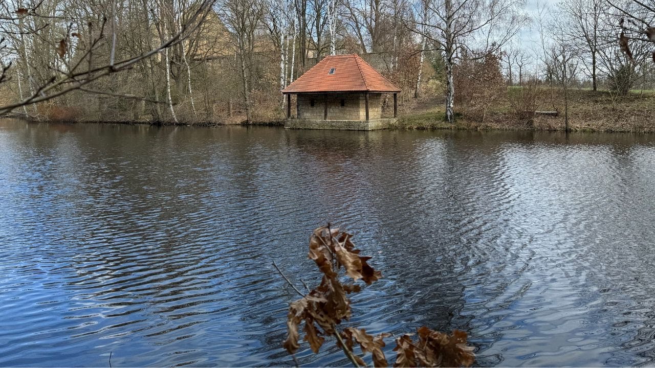 🇩🇪 Grillenburg |Mutschmann | Tharander Wald | Abenteuerweg | Holzweg