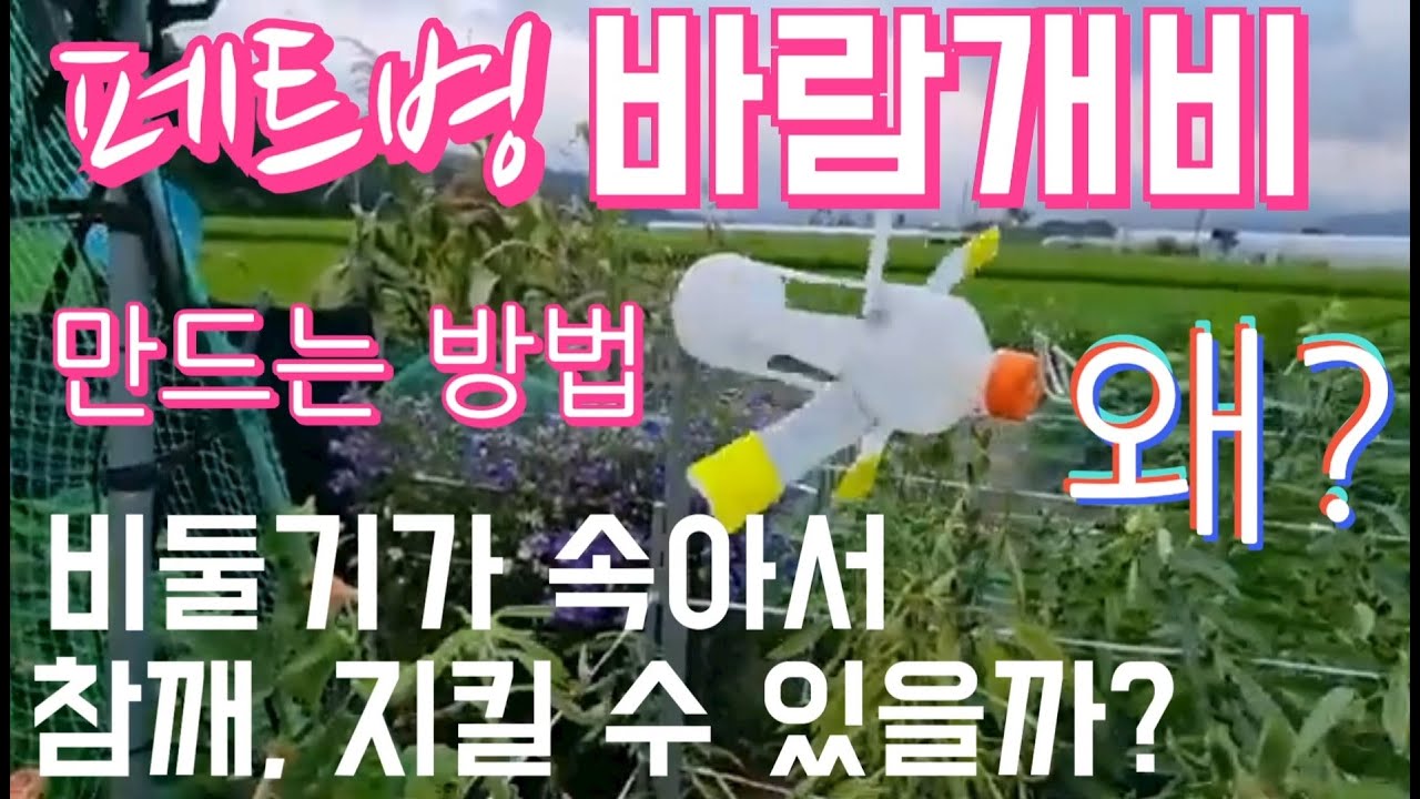 페트병 바람개비로 비둘기가 속아서 참깨, 지킬 수 있을까? / 바람개비 만들기 / 2022.7.21
