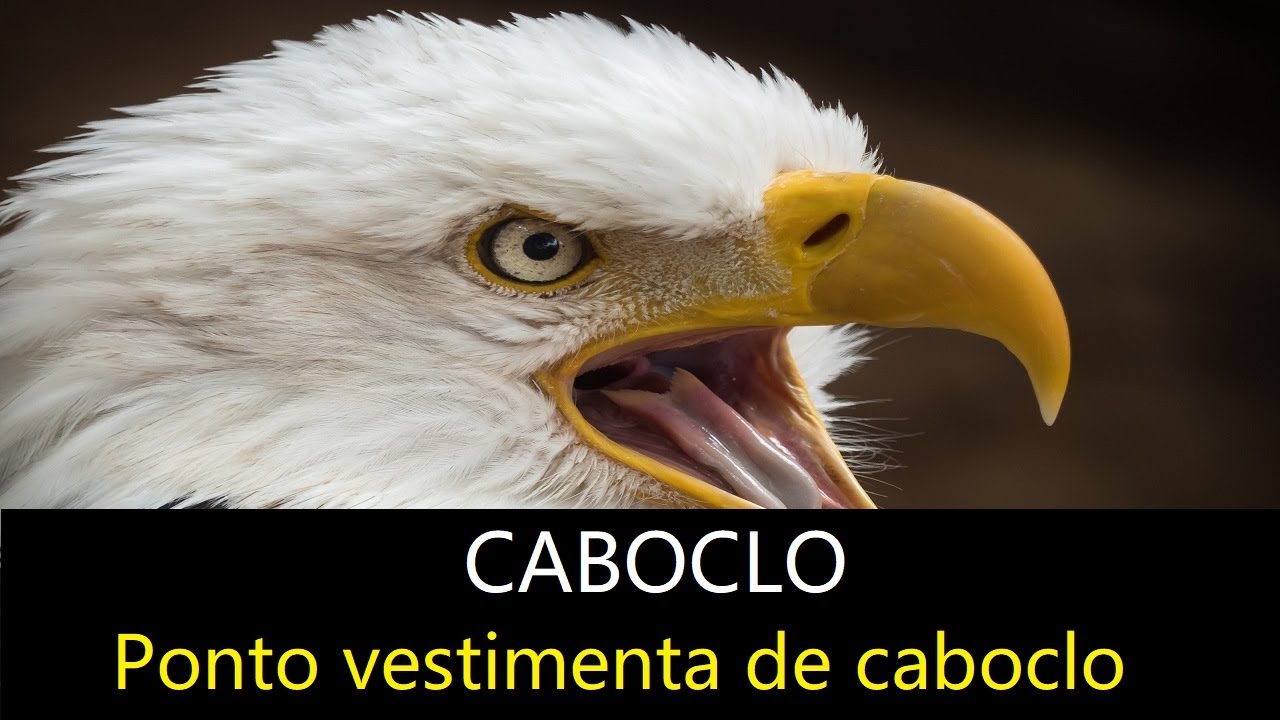Jurema Sagrada CABOCLO pontos vestimenta de caboclo Deluca Natal Catimb&oacute; Macumba Boa Parnamirim RN