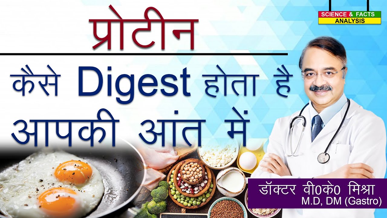 प्रोटीन कैसे Digest होता है आपकी आंत में || HOW IS PROTEIN DIGESTED ?