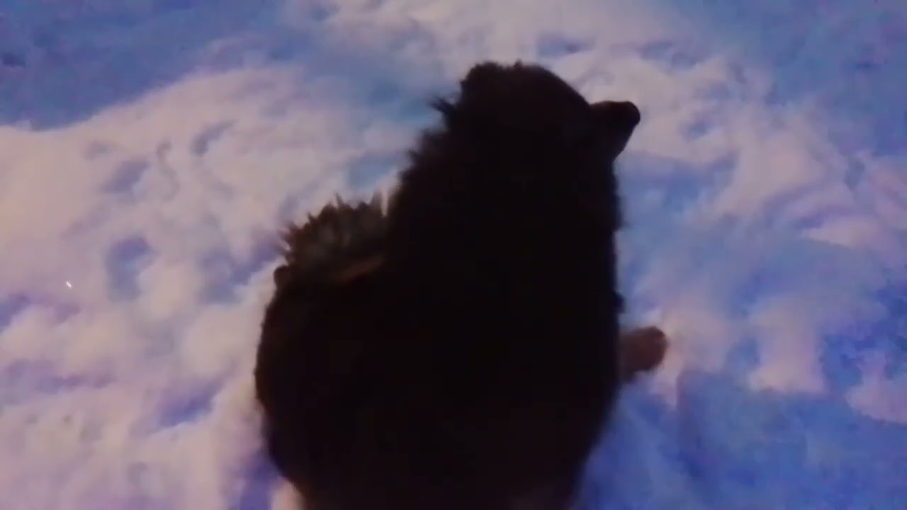 Снежный февраль позади!