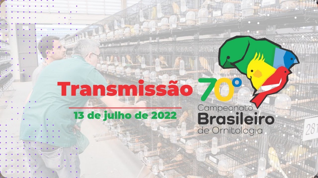 70° Campeonato Brasileiro de Ornitologia #5 | Quarta - Feira | (13/07/22)