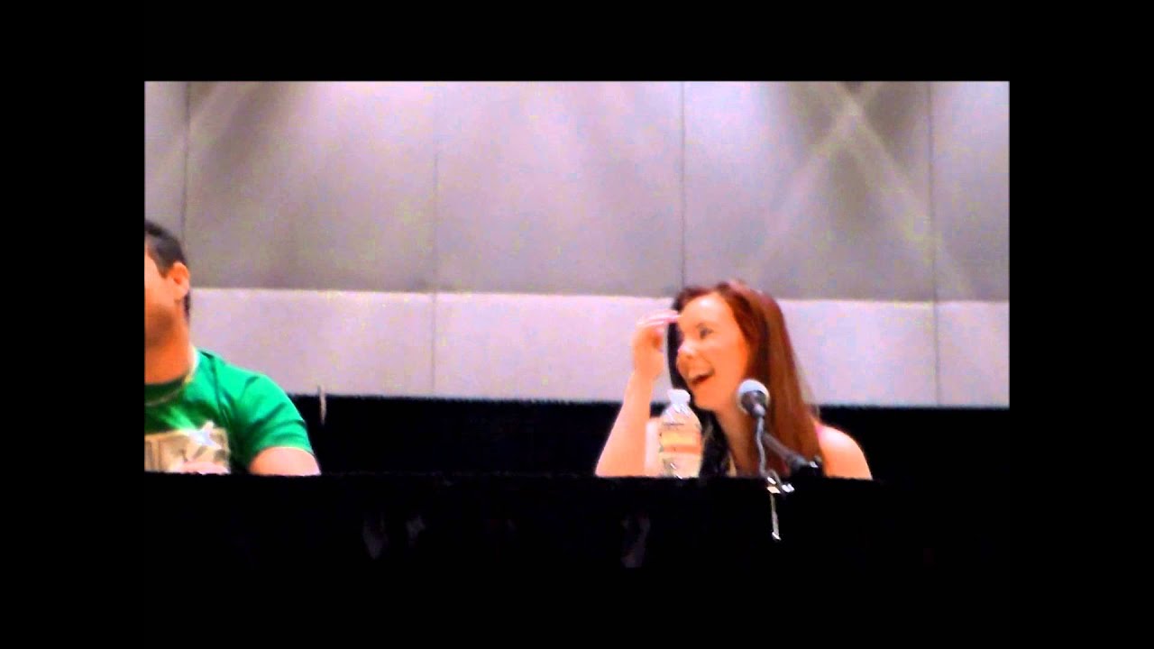 Con-Nichiwa 2014 bryce and cherami SAO talk part 1