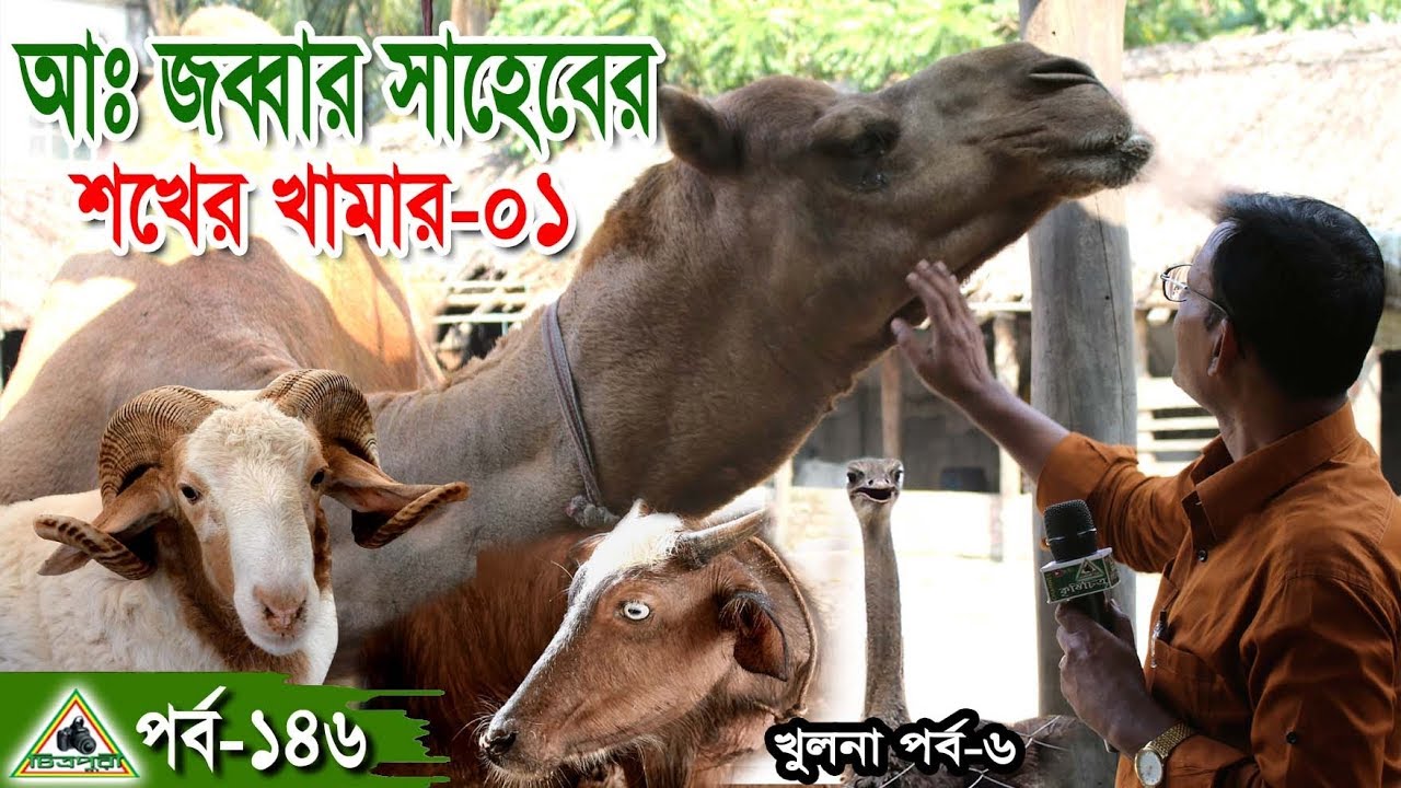 Krishi/কৃষিচিত্র-146,খুলনা আঃজব্বার সাহেবের শখের খামার-উট,উট পাখি,গাড়ল,দুম্বা,গরু,ঘোড়া,মহিষ
