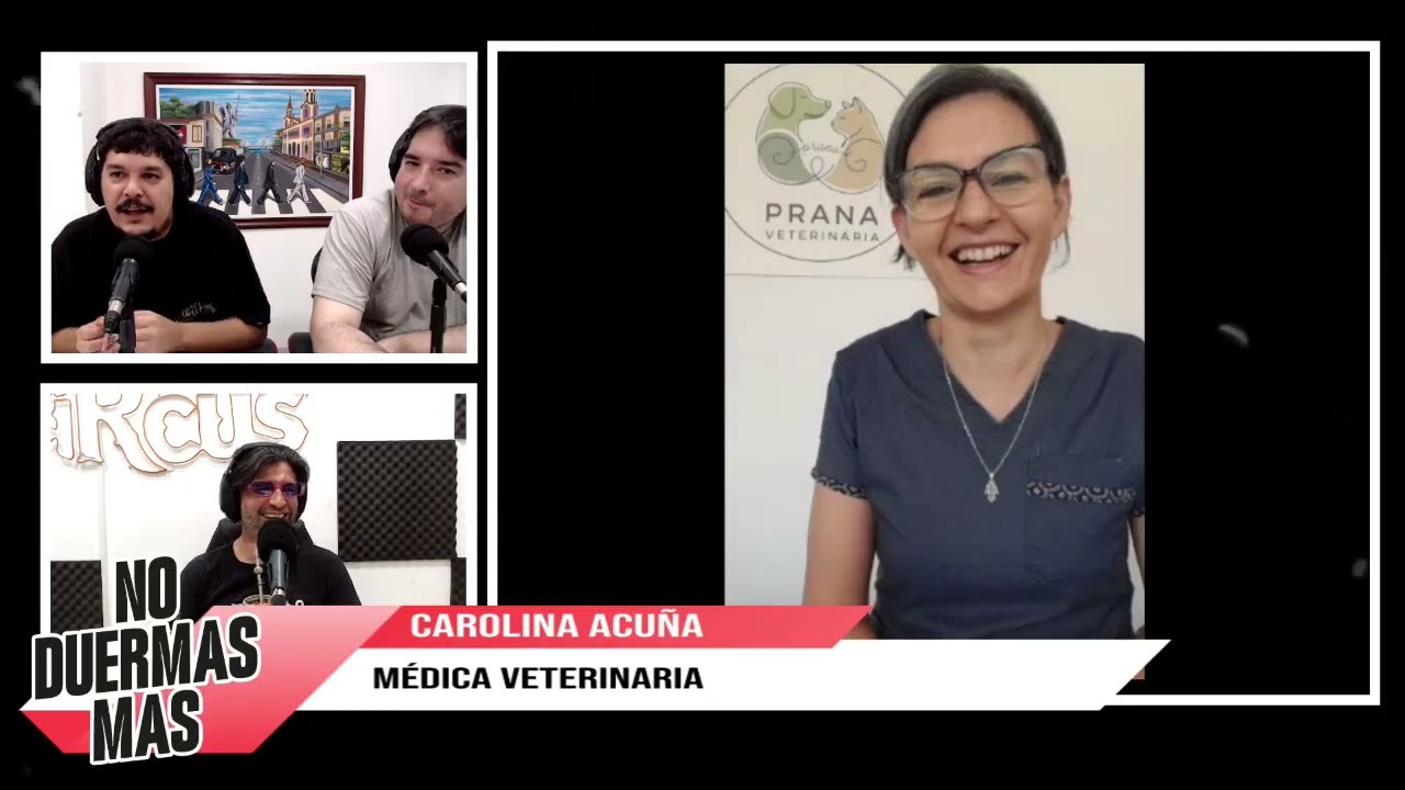 Carolina Acuña - No Duermas Más - Circus FM - 14 de enero de 2026