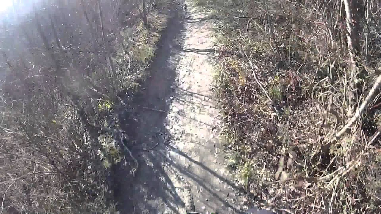 Salita di San Luca discesa Bregoli MTB