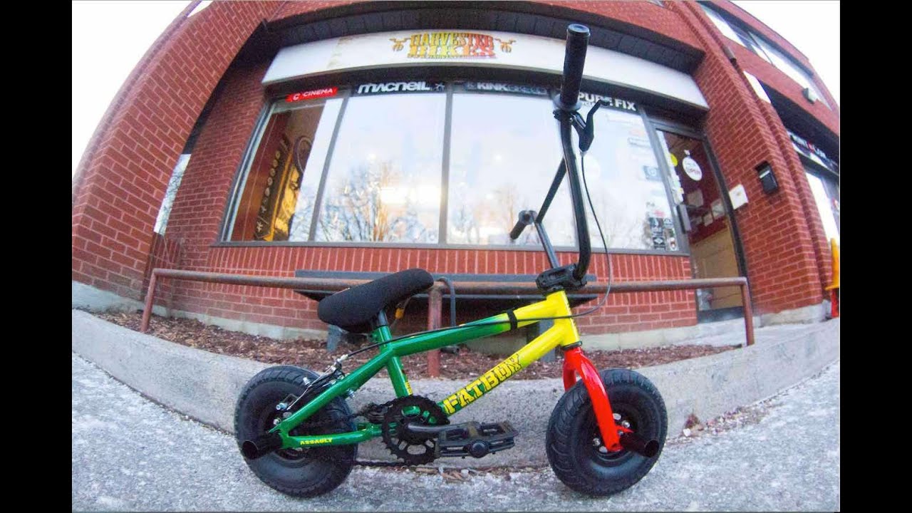 Fatboy Mini BMX Rasta Unboxing @ Harvester Bikes TORONTO, CANADA